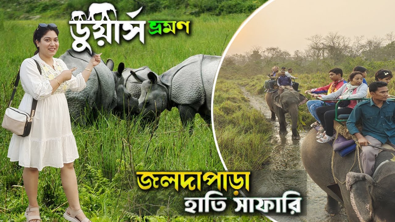 Jaldapara Elephant Safari | Jaldapara National Park | Dooars Tour 2025 | Elephant Safari | Dooars