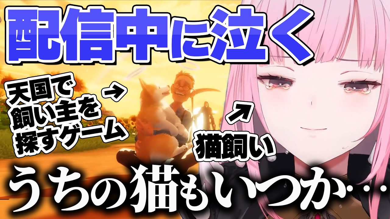 配信中に泣くカリオペ。愛猫への想いを語る【 Mori Calliope / ホロライブ EN 切り抜き】