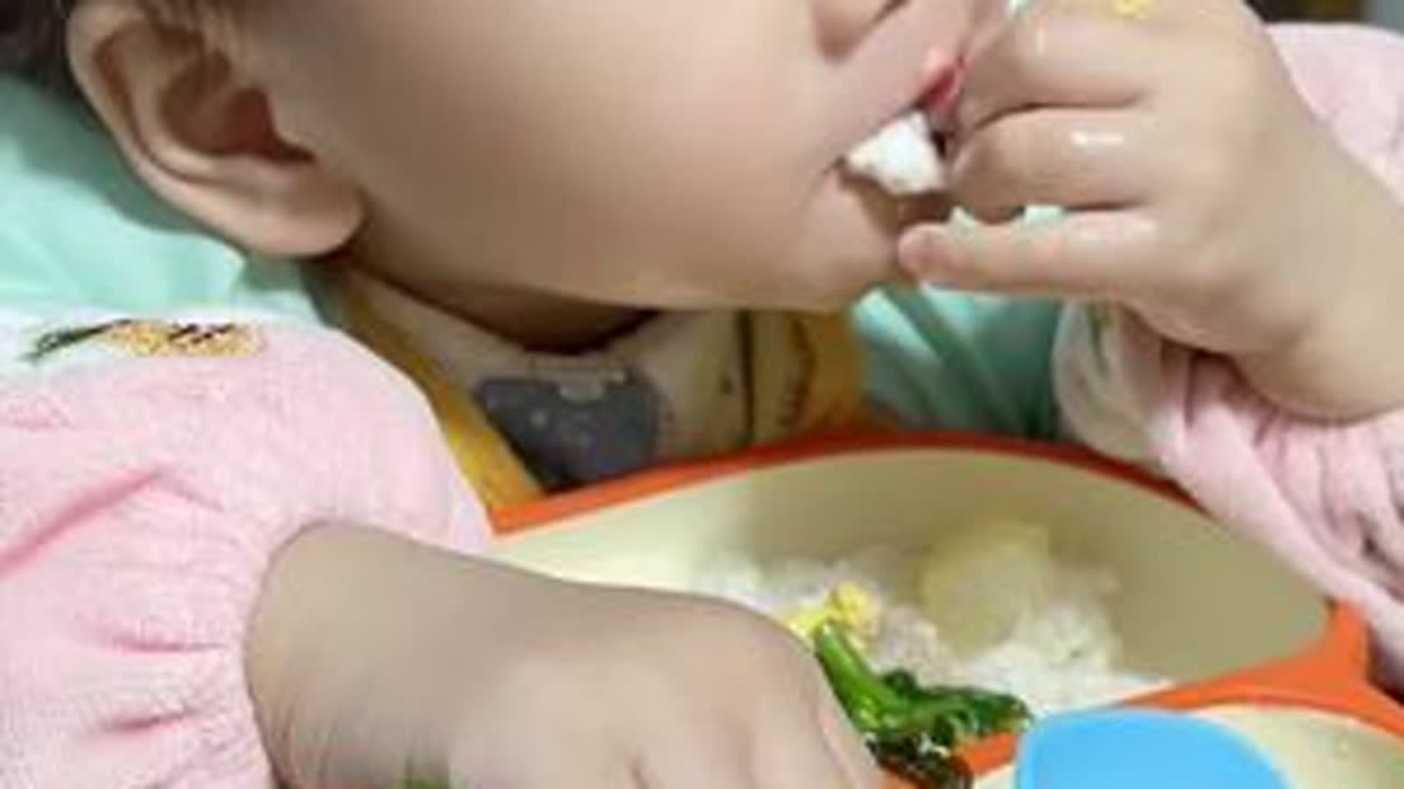 #日常投喂