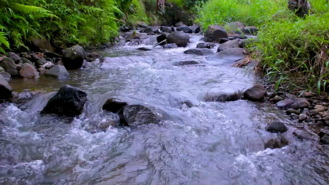 Peaceful Mountain River Stream | Nature White Noise for Calm Mind and Deep Sleep