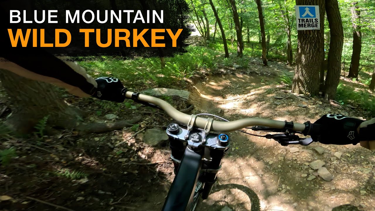 Wild Turkey | Blue Mountain Bike Park
