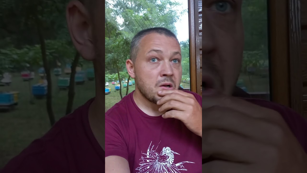 Все, накипіло! Виганяю дружину, шукаю нову)