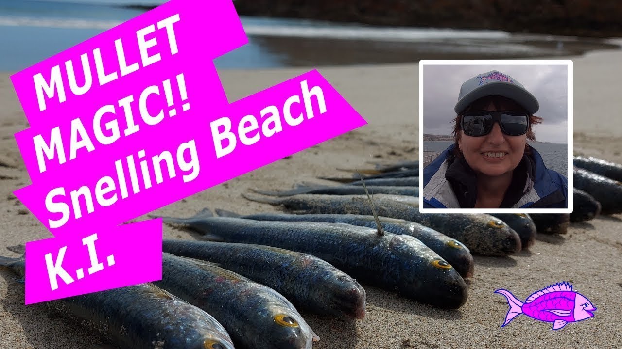 Fishing for Mullet on Snelling Beach, Kangaroo Island, fishing South Australia