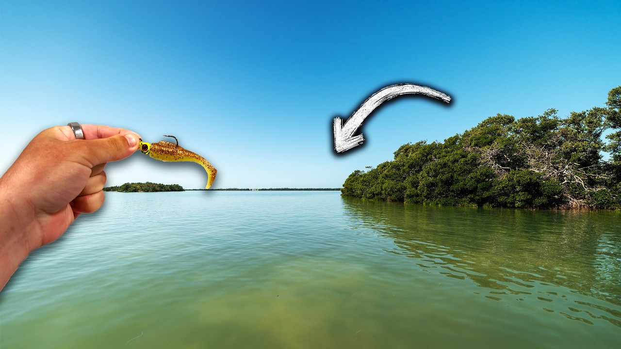 Fishing Tampa Bay Flats For Whatever Bites!