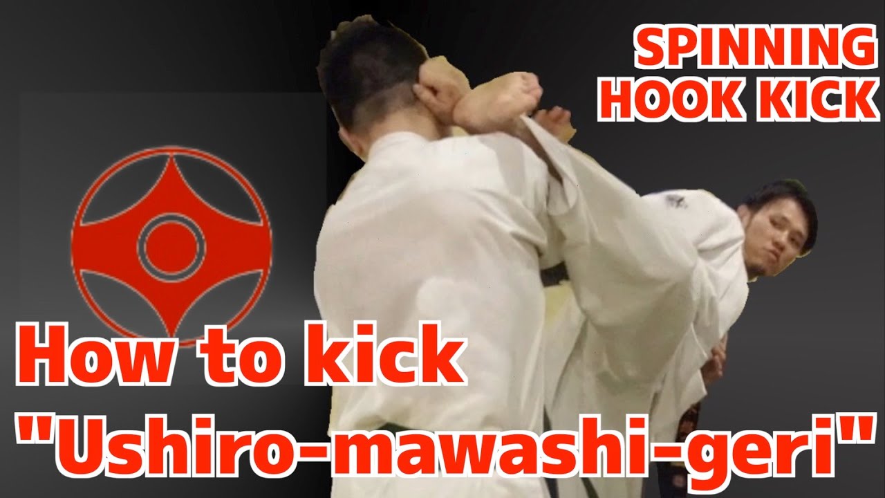 【Kyokushin Krate technique】How to kick 