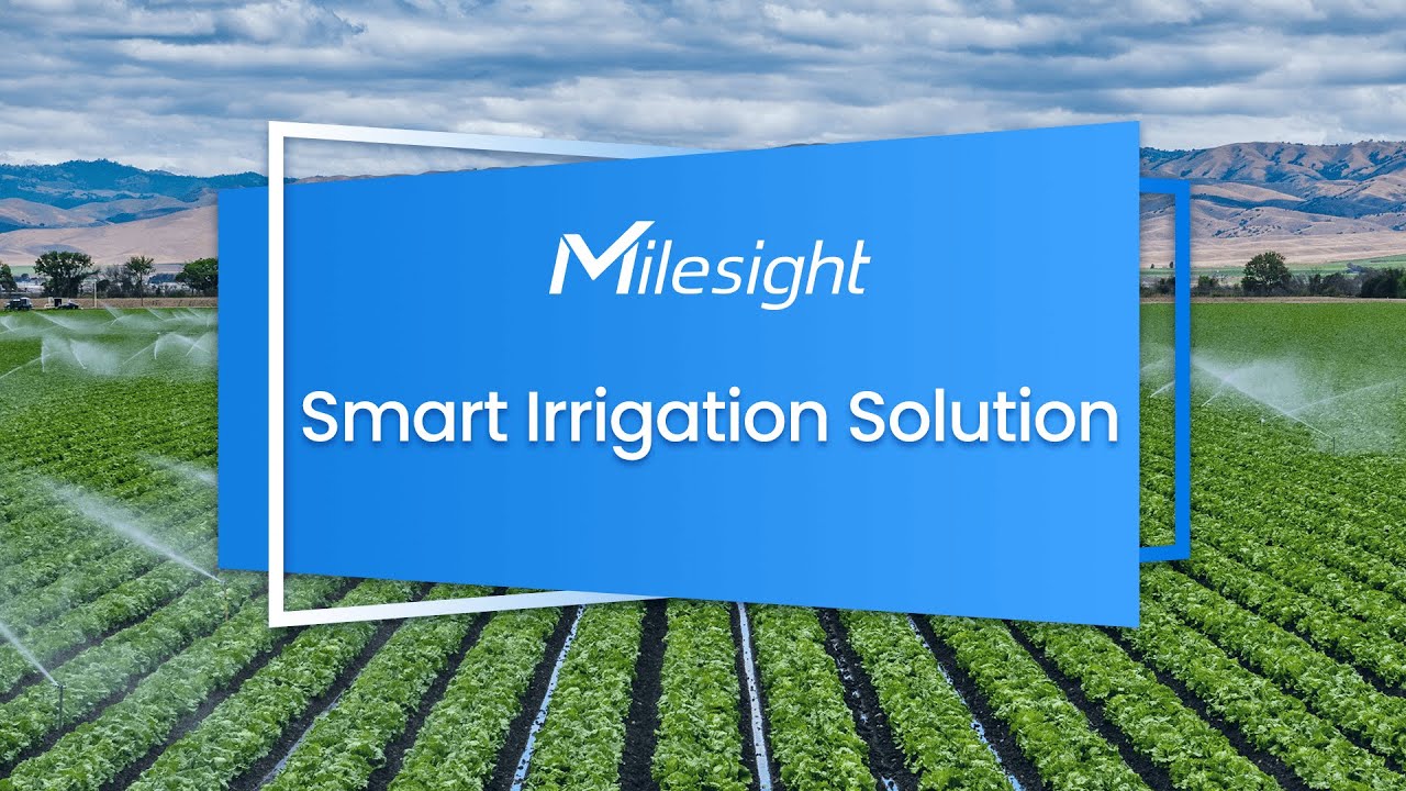 Milesight Smart Irrigation Solution Featuring LoRaWAN®