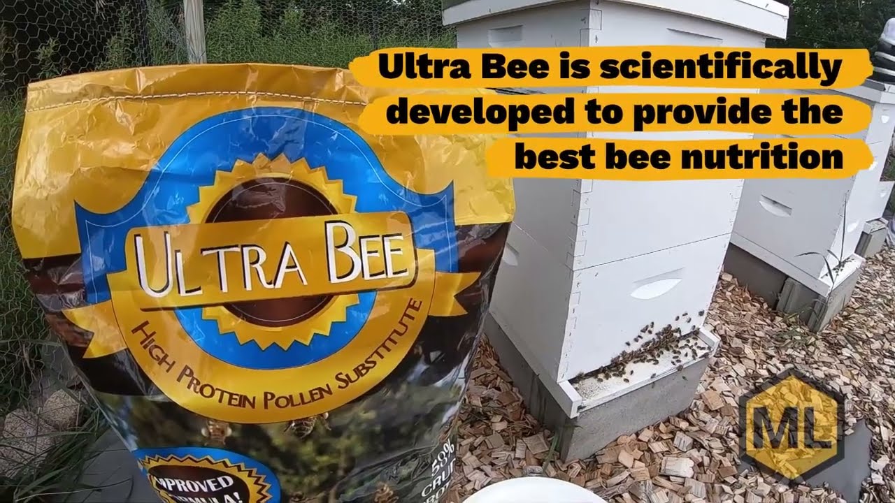 Ultra Bee - High Protein Pollen Substitute for Bees