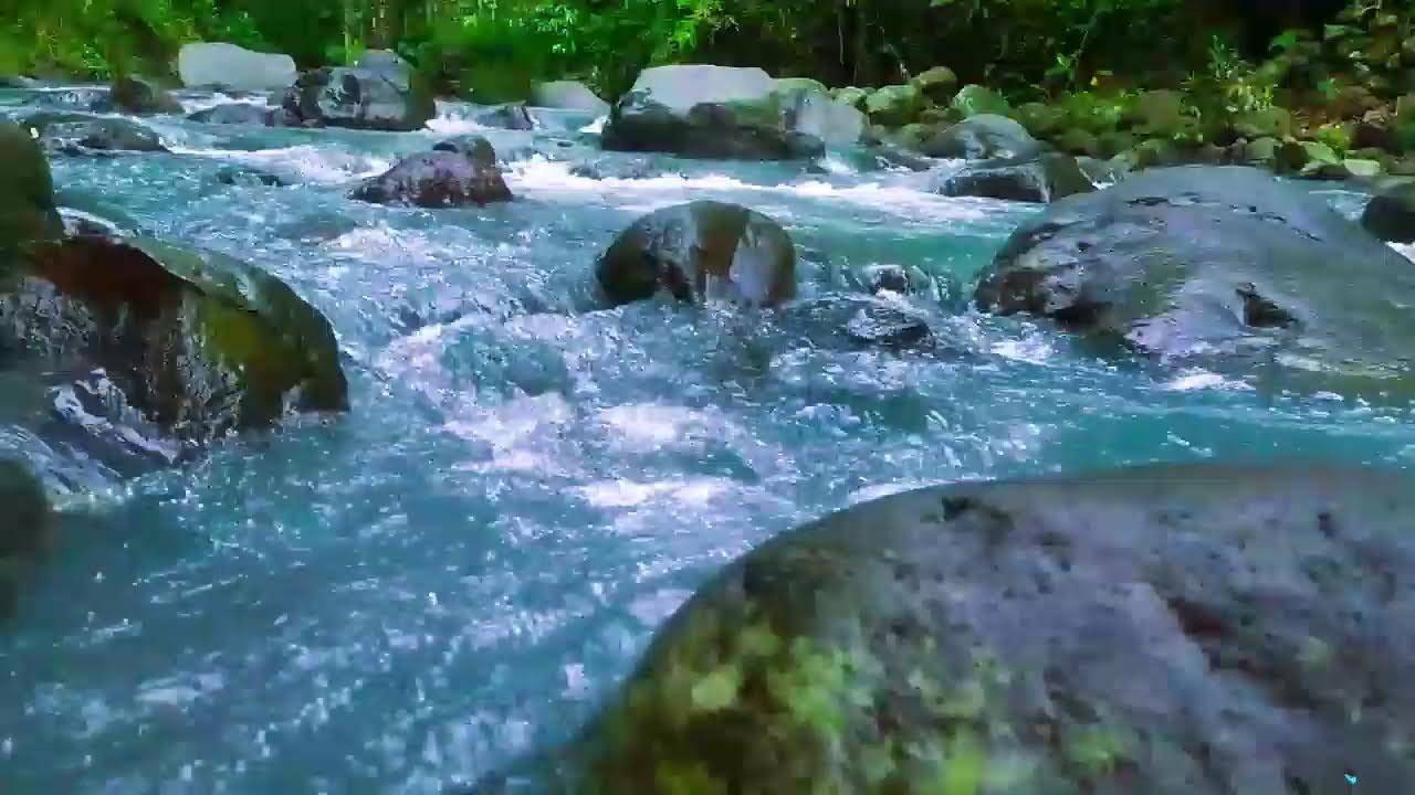 Tranquil River Sounds & Cozy Ambience for Relax and Stress Relief