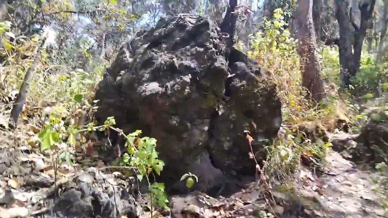 Volcan candelaria,☮️⛰️Cuidemos los bosques no tiremos basura y si si hacen fogatas apaguenlas bien 