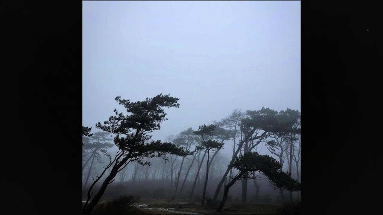 (free) alternative rock + heavy shoegaze type beat ~ 