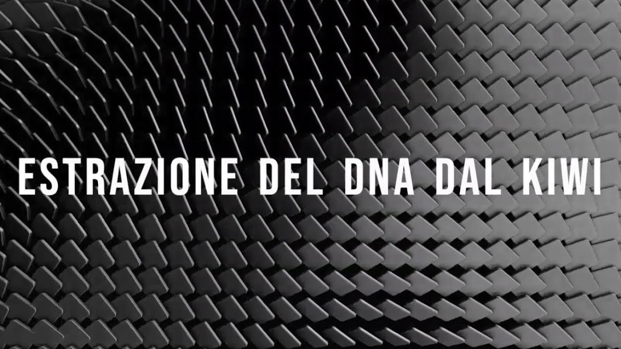 Estrazione del DNA dal KIWi 🥝🧬