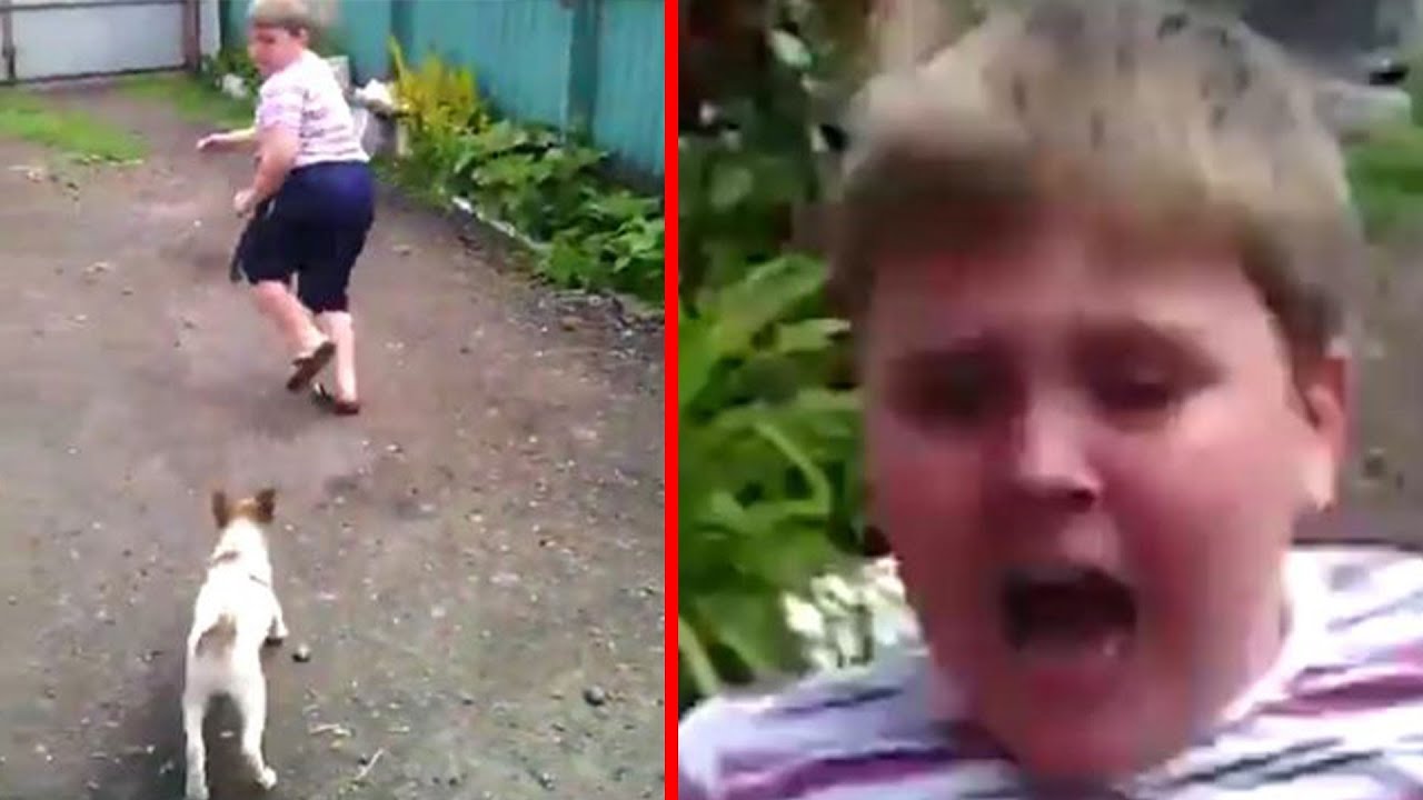 r/AmITheA**hole for Having My Dogs Attack My Neighbor's Kids?
