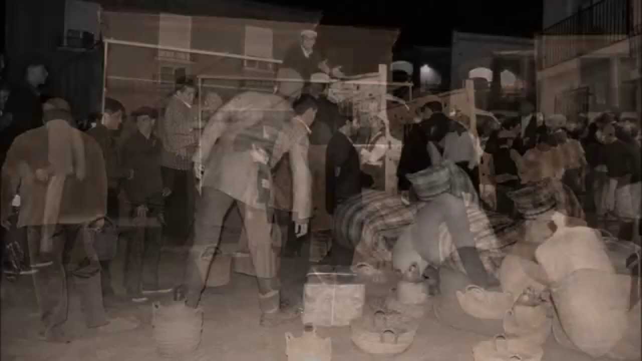 Ruta Nocturna 2015 Carcabuey (Córdoba)