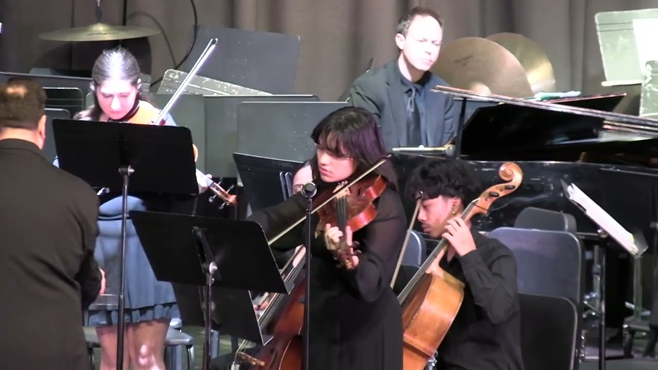 West Hempstead Secondary School 9-12th 2025 Winter Concert Chamber Orchestra Schindler's List