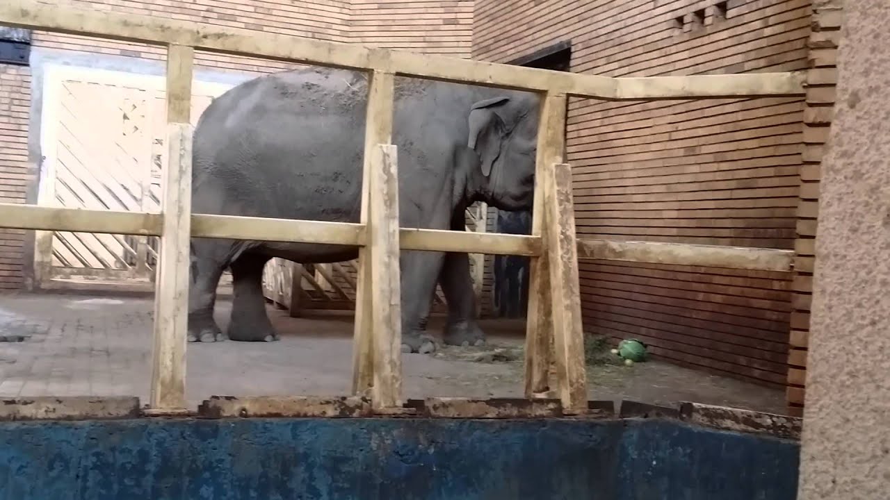 ЗООПАРК СОФИЯ