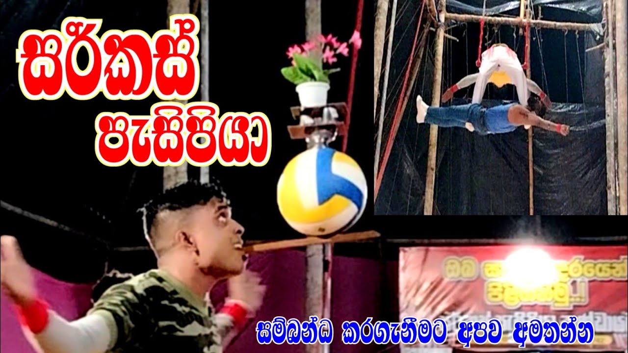 ඇග කිලිපොලා යන සර්කස් දර්ශන 🎪 | Professional Circus Show