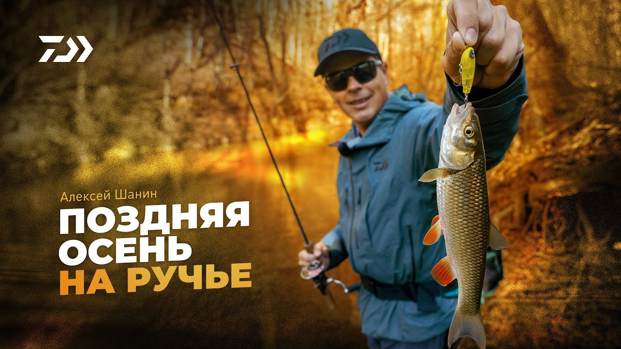 Поздняя осень на ручье x Алексей Шанин