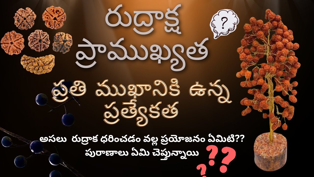 What is the purpose of wearing rudrakshamala||రుద్రాక్ష మాలఎందుకు ధరిస్తారు?#telugu