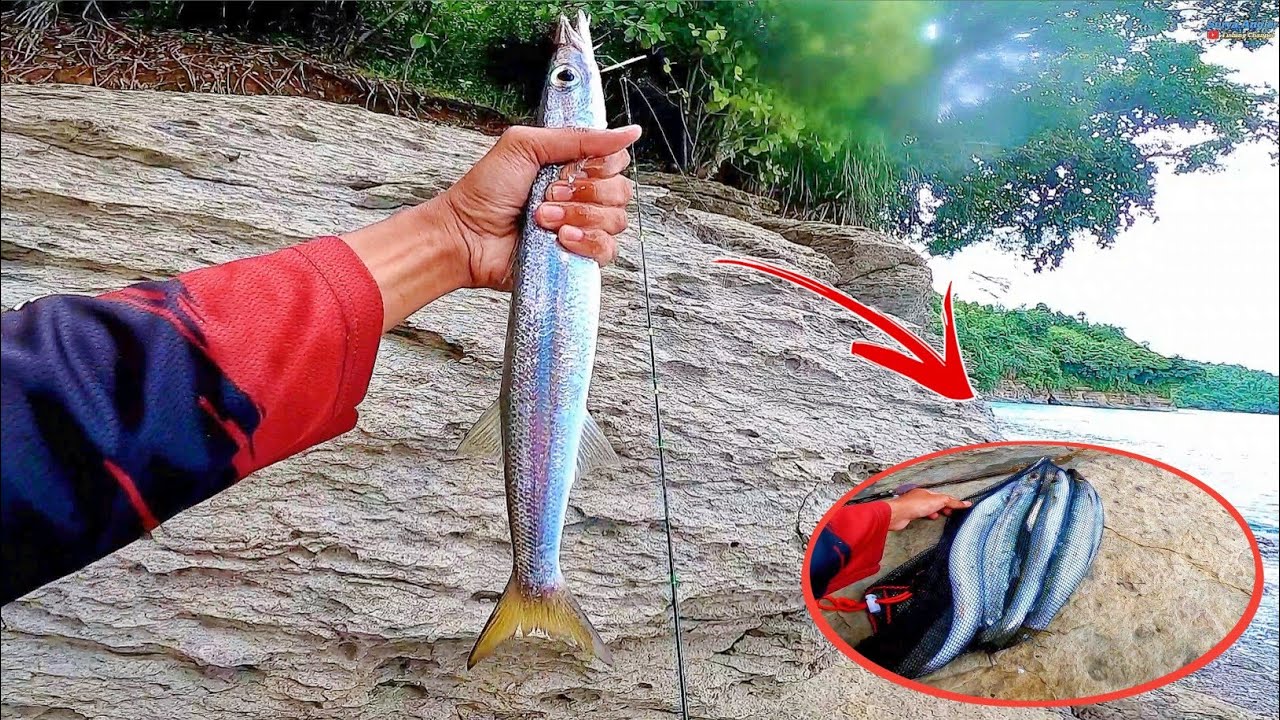DI SERBU GEROMBOLAN IKAN PREDATOR ‼️ INI DIA SPOT POTENSI CASTING PINGGIR PANTAI