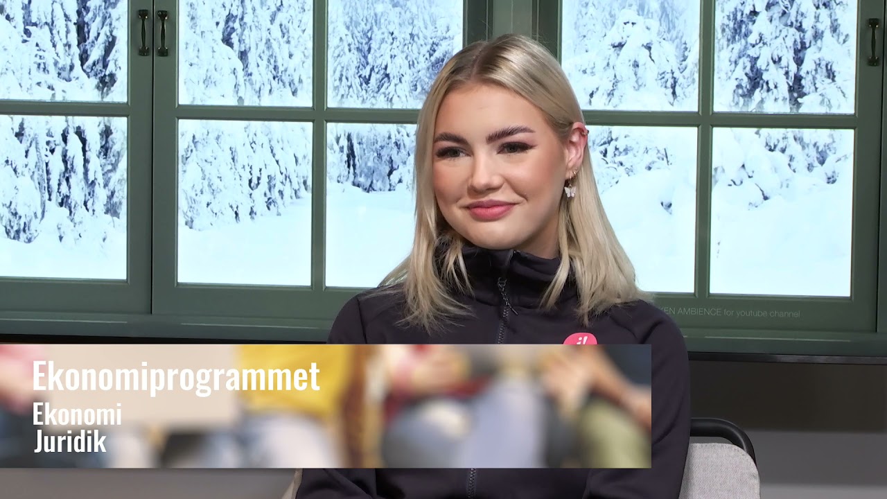 Ekonomiprogrammet