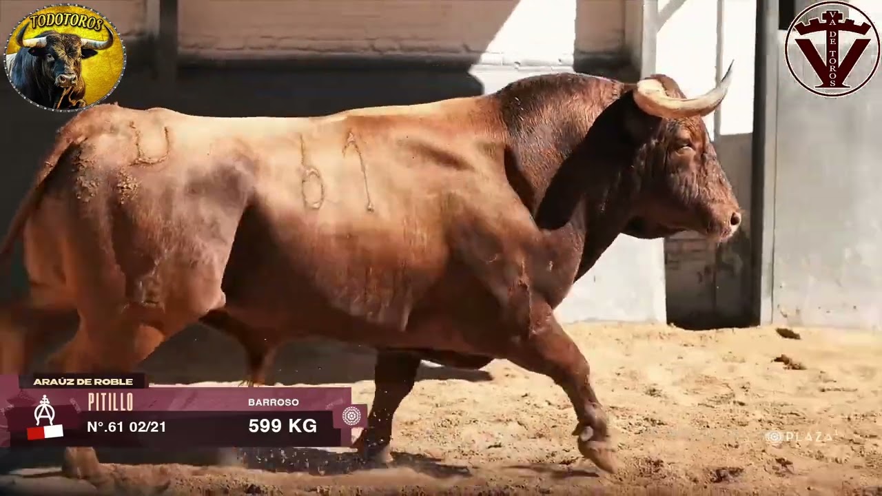 ORDEN DE LIDIA| Toros de Araúz de Robles| Feria de San Isidro