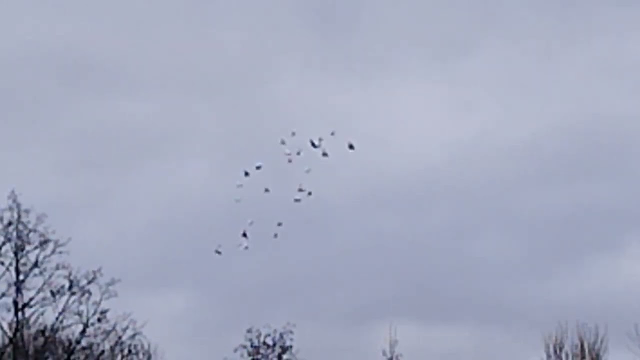 NIEDZIELA EMOCJI część 1 😮😮!!!28.12.2025