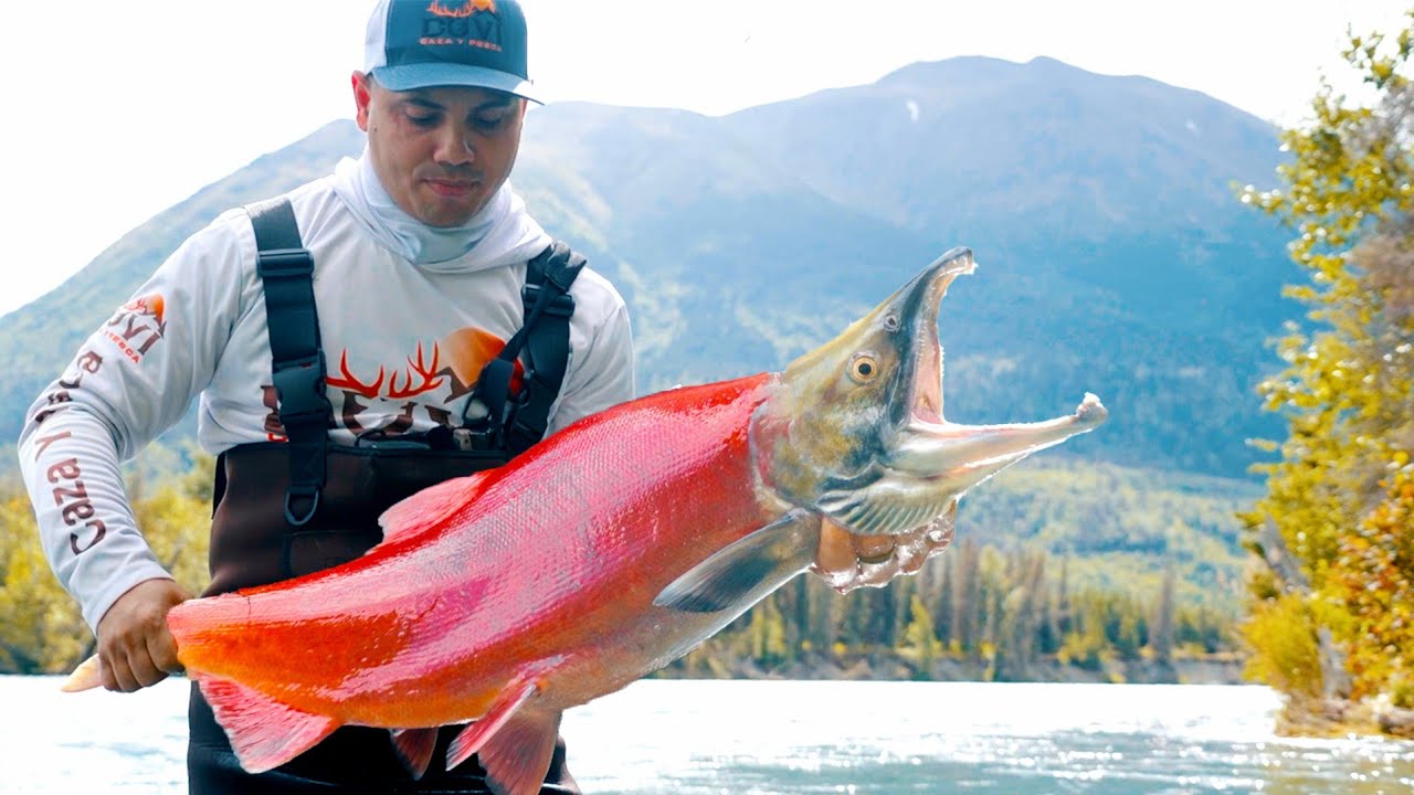 Pescando Salmones Rojos en Alaska