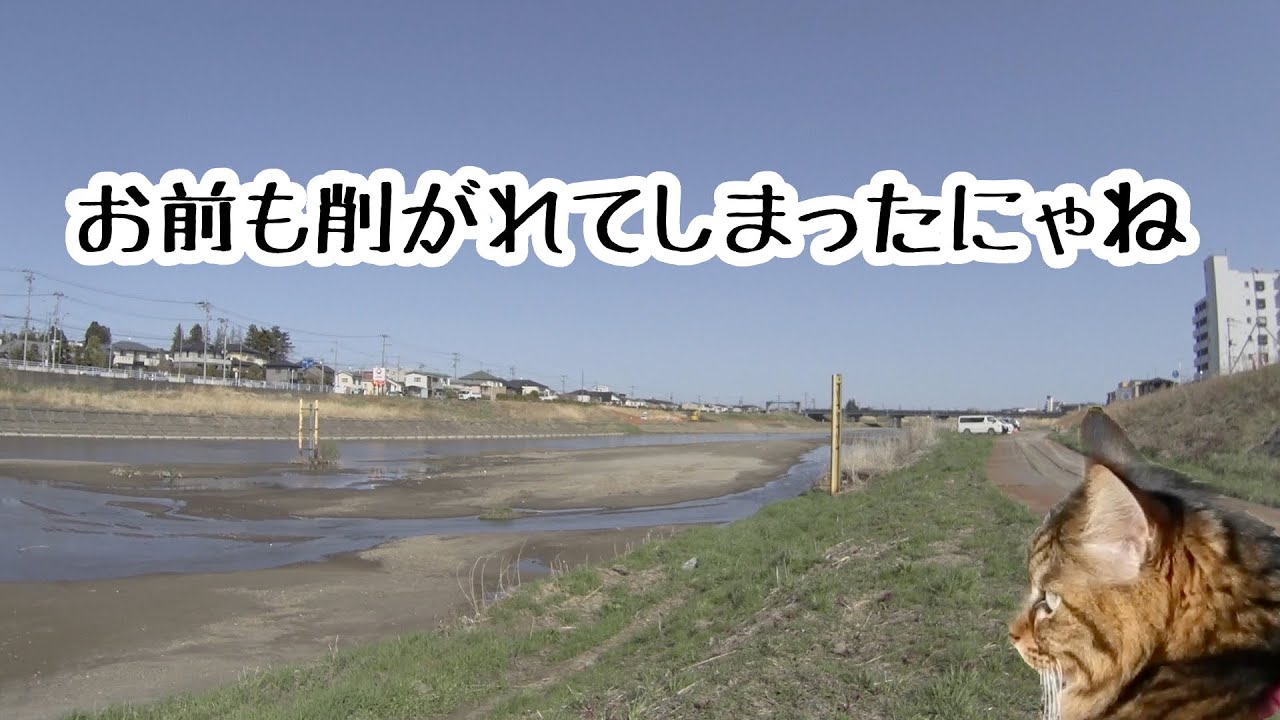 2021年　七北田川の釣り場調査したにゃ　後編