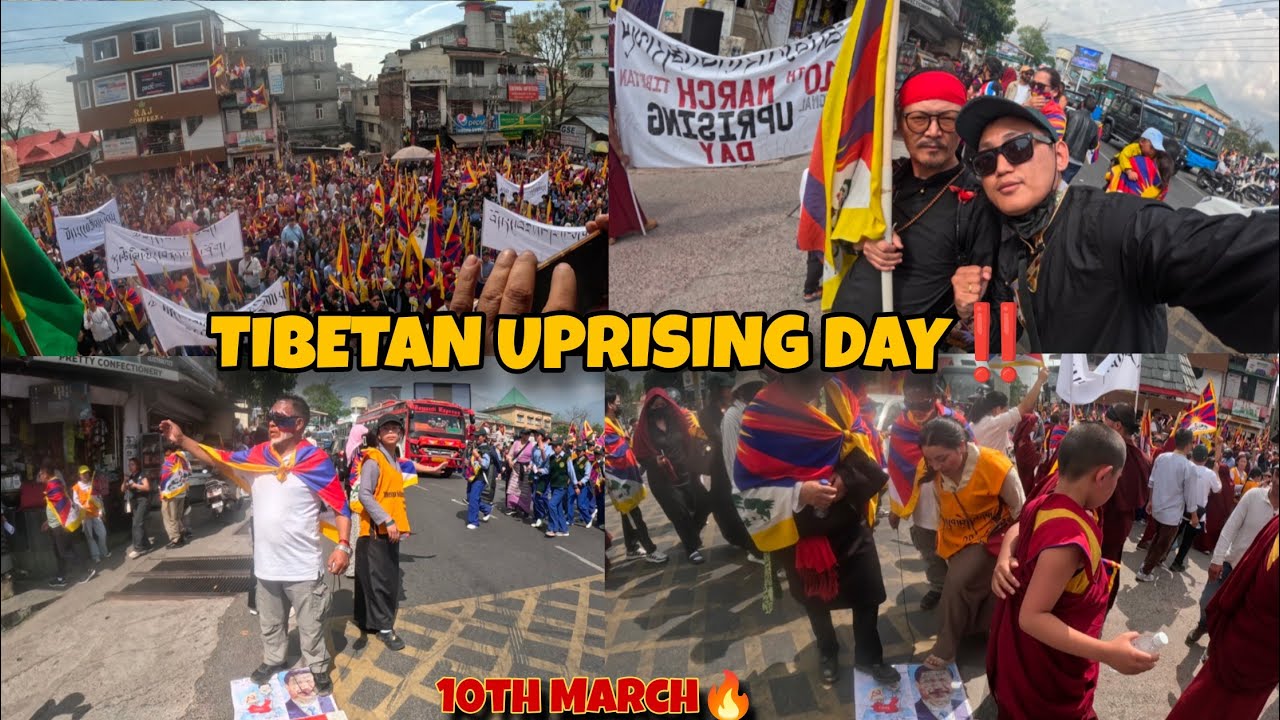 DHARAMSALA people are 🔥🔥 Tibetan UPRISING day🚨🔥 སུམ་བཅུ་དུས་དྲེན།...#freetibet 