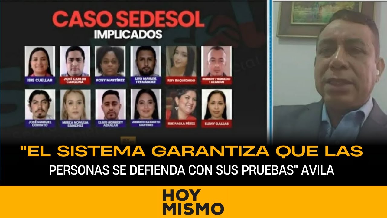 Avila: El sistema garantiza que las personas se defienda con sus pruebas