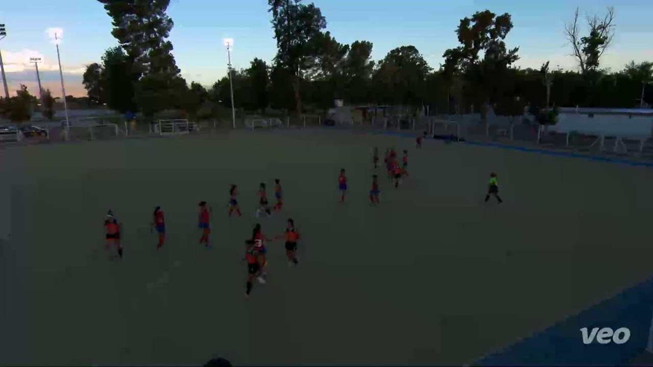 MULTISPORT STREAM vs Fna  Lomas Sportivo
