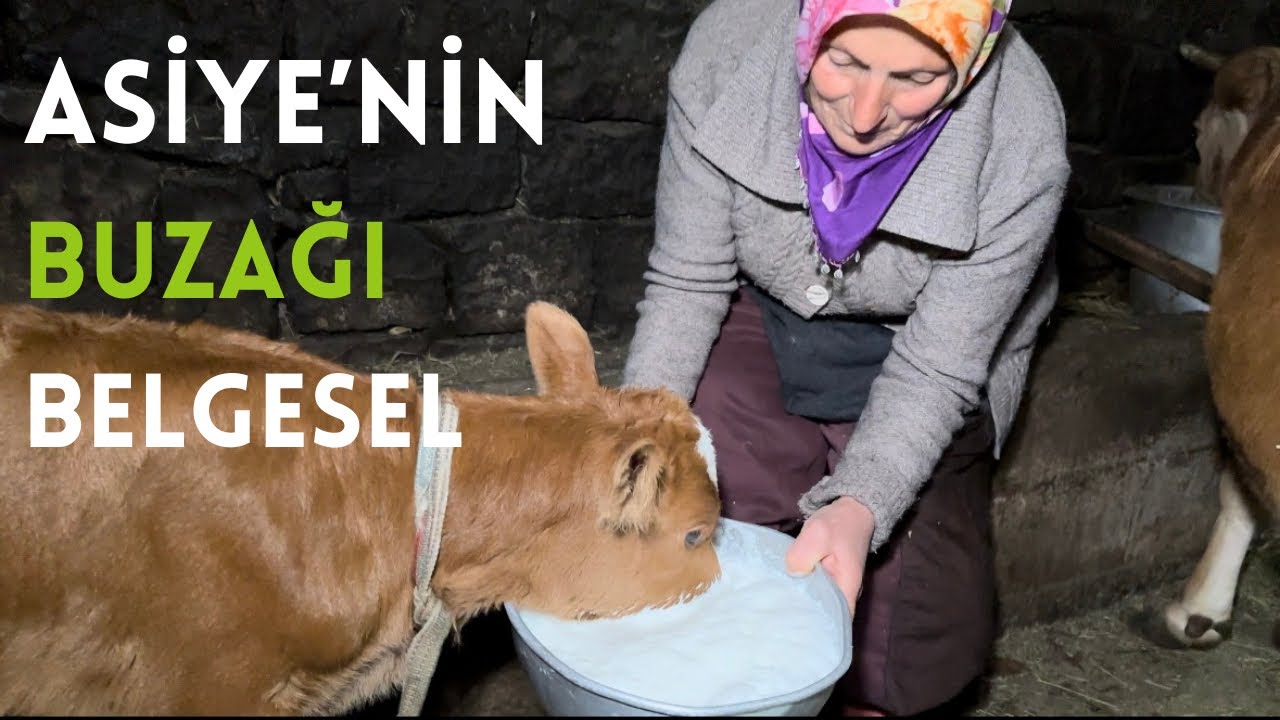 Asiye’nin kınalı buzağı Köy yemeği 