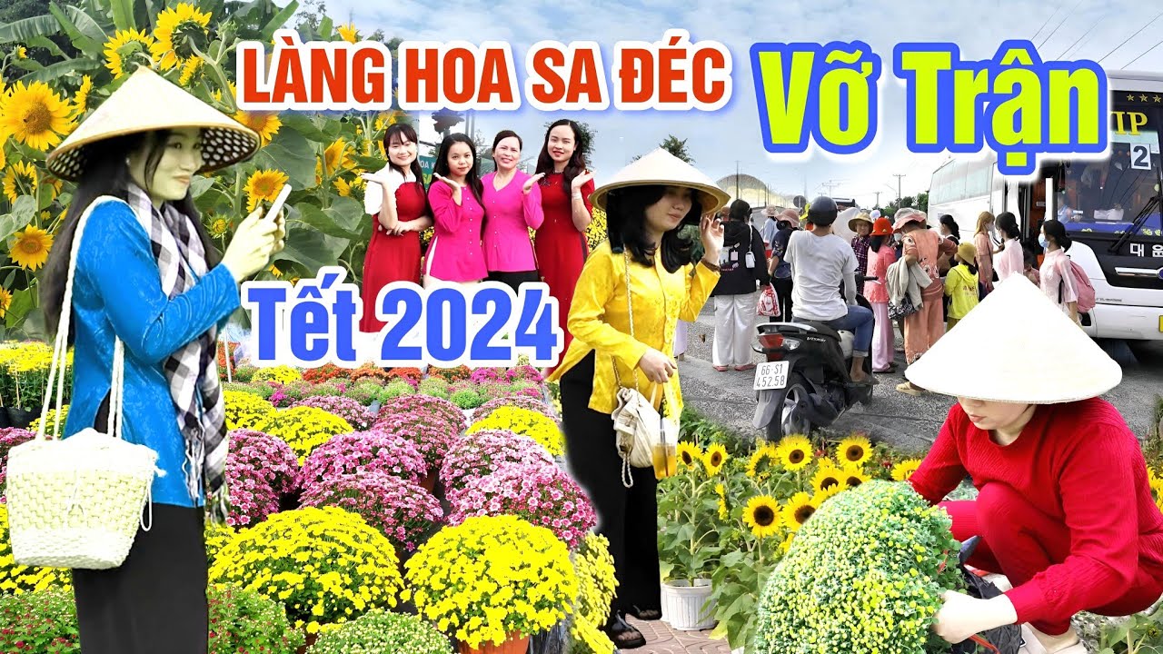 VỠ TRẬN CHỢ HOA TẾT 2024: LÀNG HOA SA ĐÉC HÀNG 1000 NGƯỜI ĐỔ XÔ MUA CÚC MÂM XÔI HÀN QUỐC GIÁ RẺ