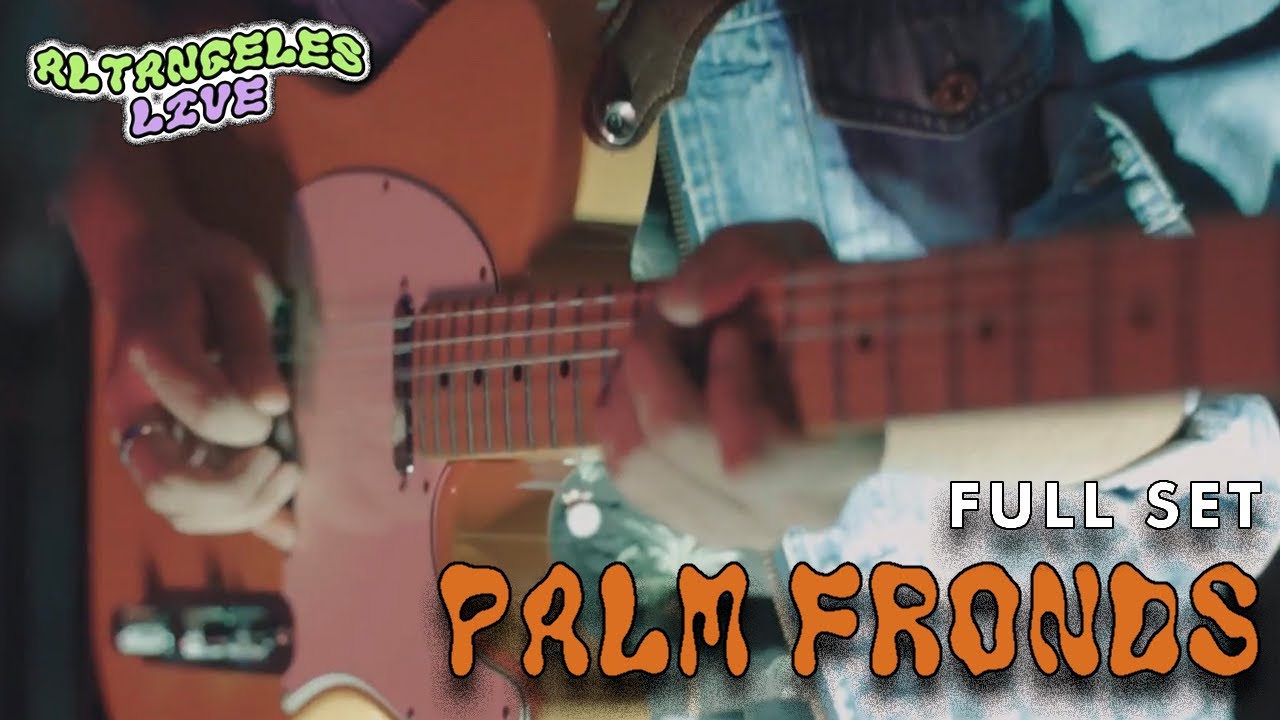 palm fronds - full set - live at gothard studios