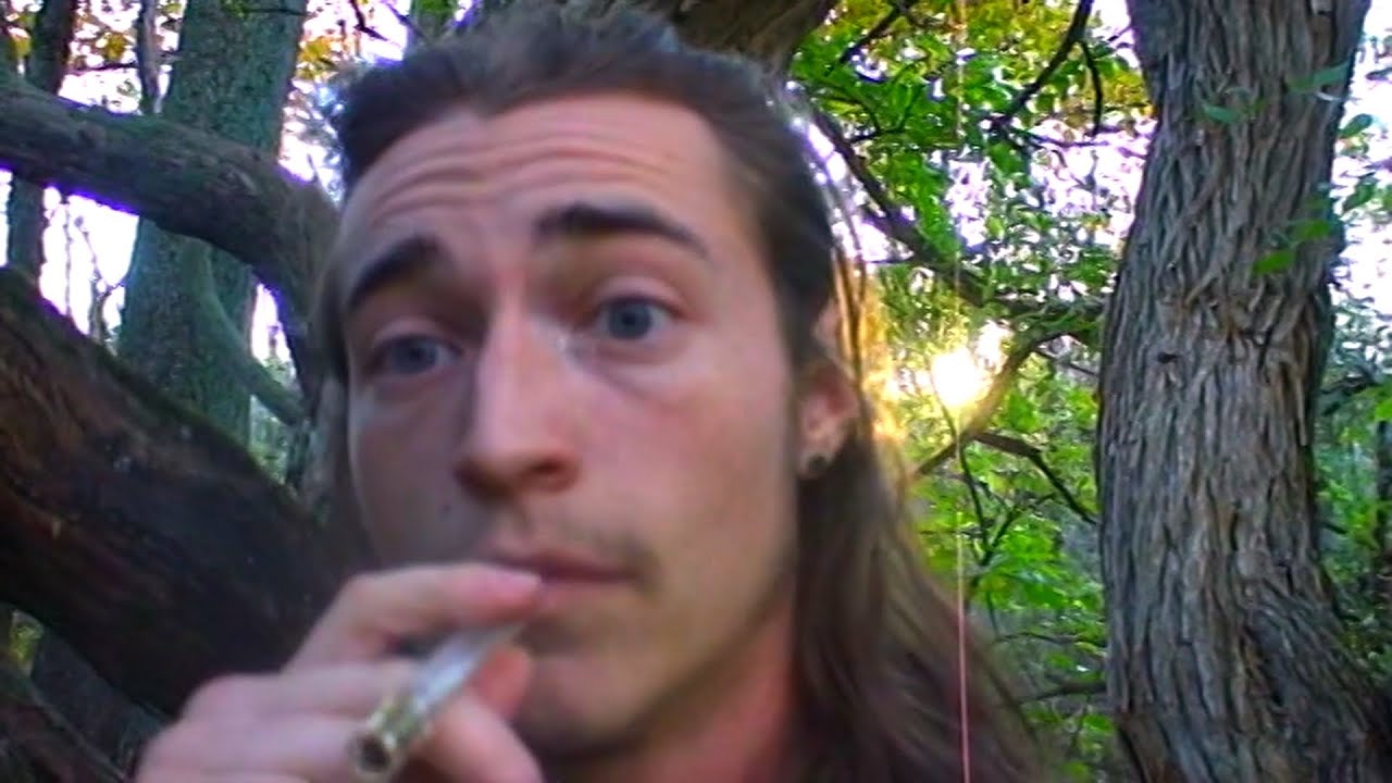 weed in a tree