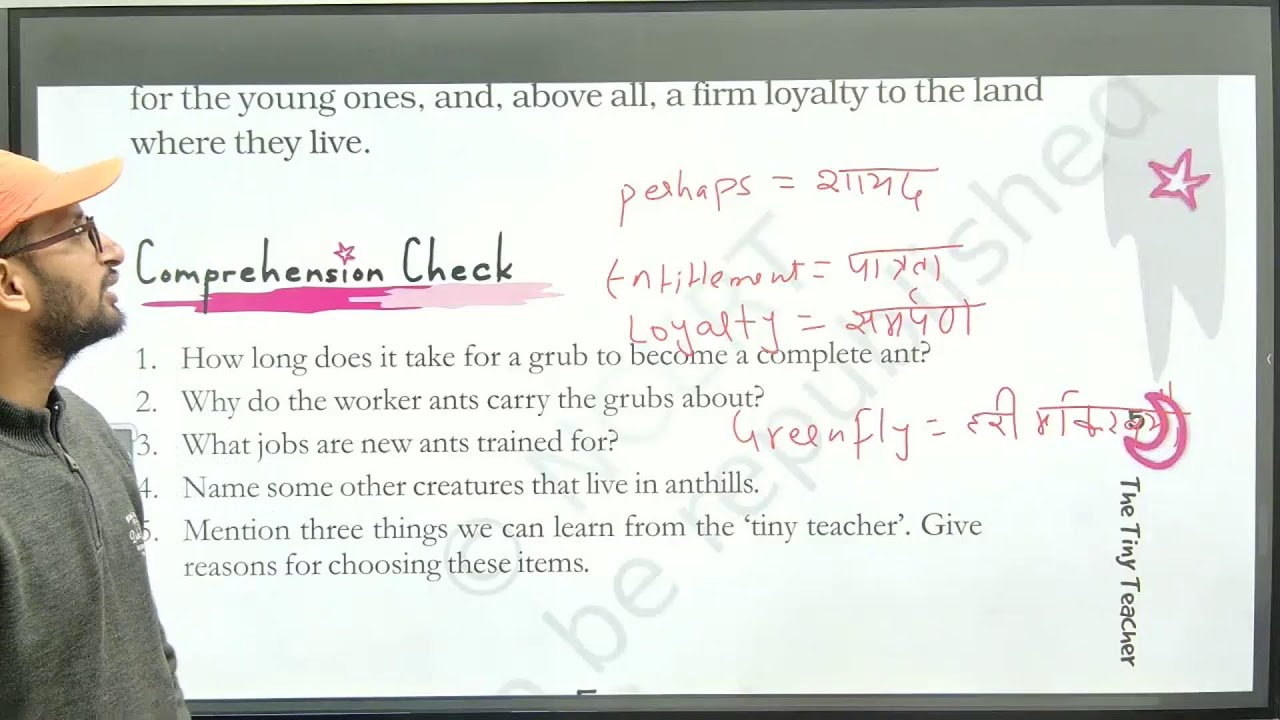 Class 7 English Literature : The Honeycomb Book 