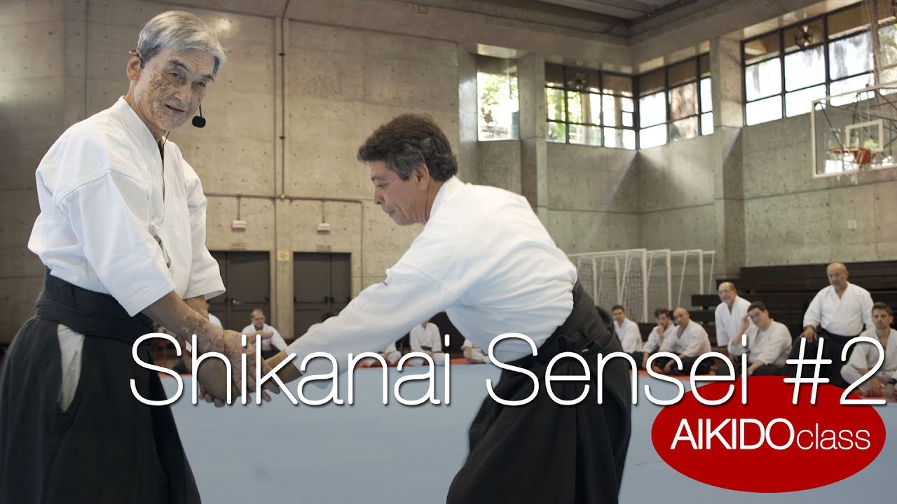 AIKIDO class: Shikanai Sensei #2