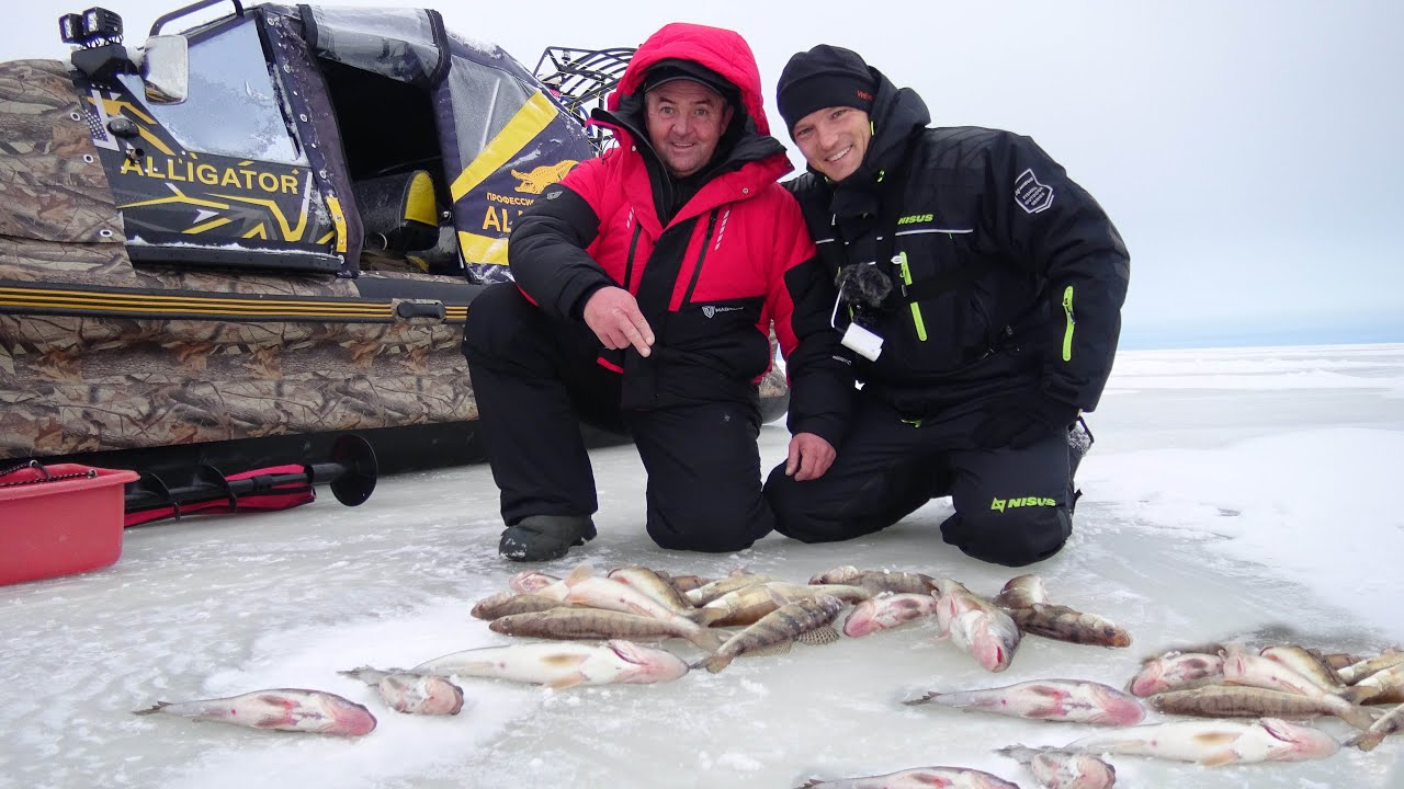 ЛОВЯТ МЕШКАМИ! КАЖДЫЙ! ПРИЕХАЛ И ОБЕРШЕЛ! КАМСКОЕ РЫБОЛОВНОЕ НАЧАЛО с Андреем Ферафонтовым
