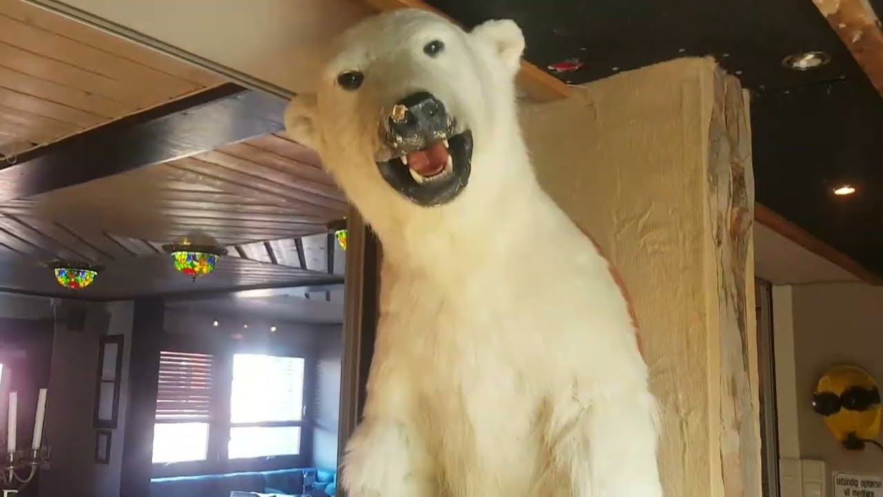 Hôtel aux Svalbard