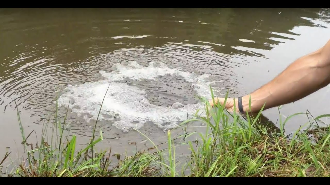 DIY Pond Aeration:  Improve Your Pond Water Quality (plus 