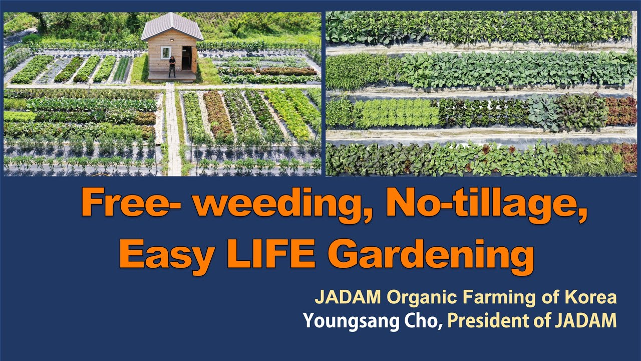 The Ultimate No-Till Organic Garden: Weed-Free & Ultra-Low-Cost (JADAM Method)