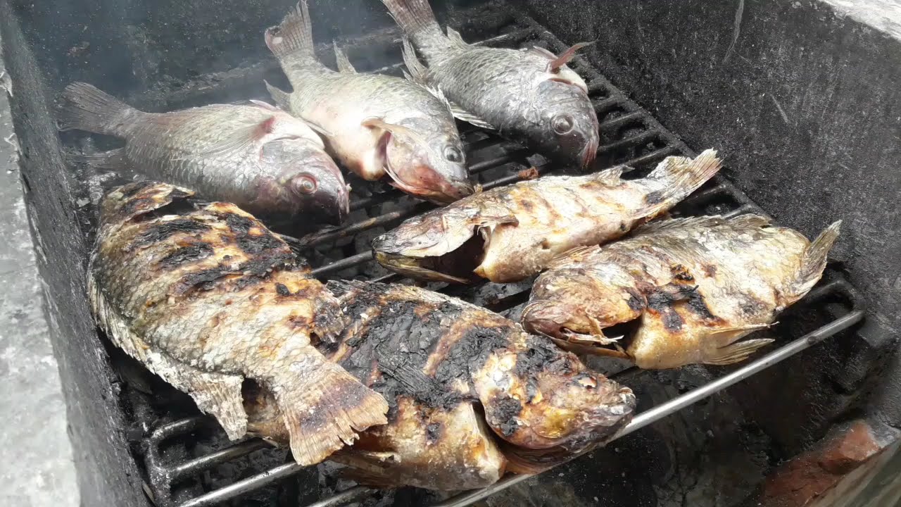 GRILLED FISH FOR DINNER