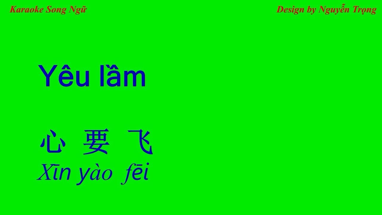 Karaoke - Yêu lầm - 心 要 飞 (B Min)