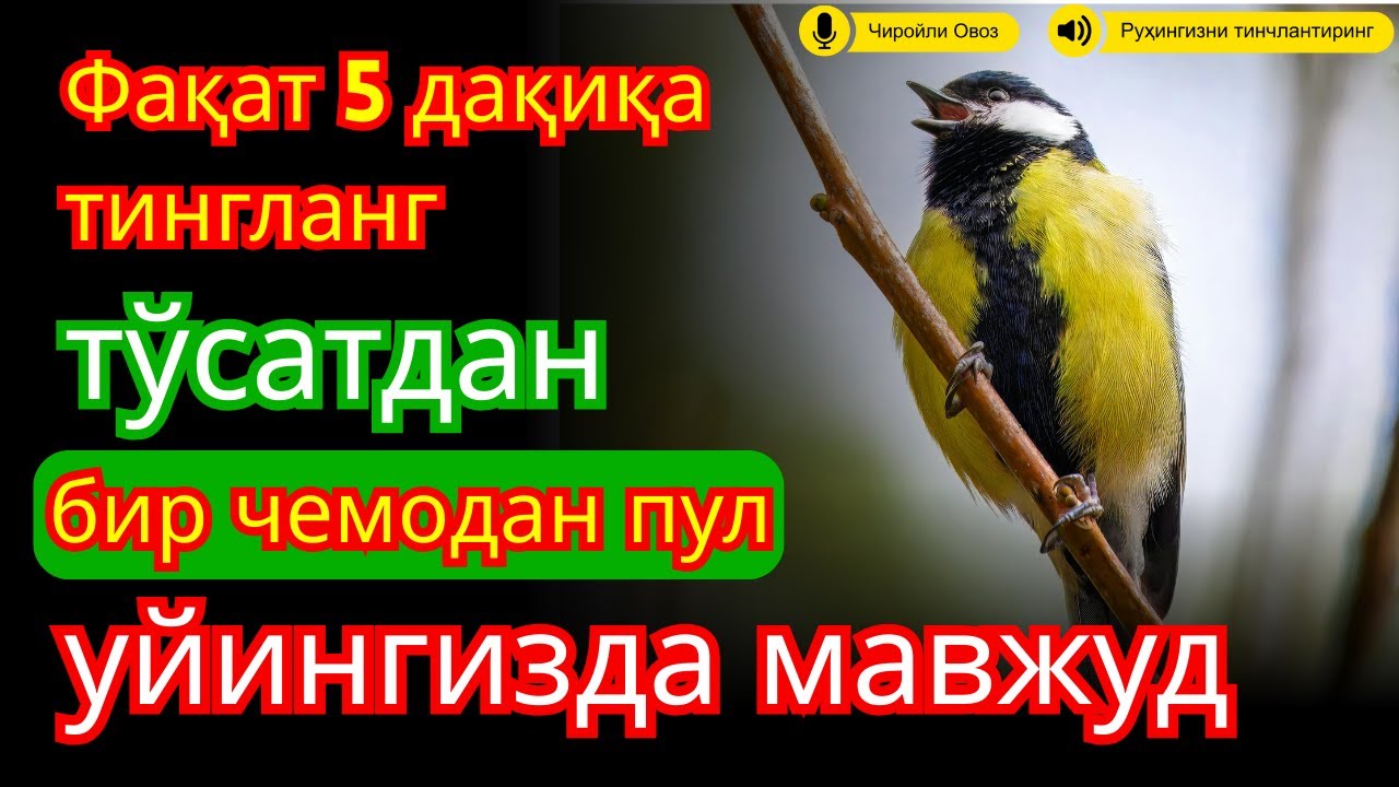 🔴ЭНГ КУЧЛИ РИЗҚ ДУОСИ БУ ДУОНИ ЎҚИНГ! КЎЗ ОЧИБ ЮМГУНЧА РИЗҚИНГИЗ КЕЛАДИ
