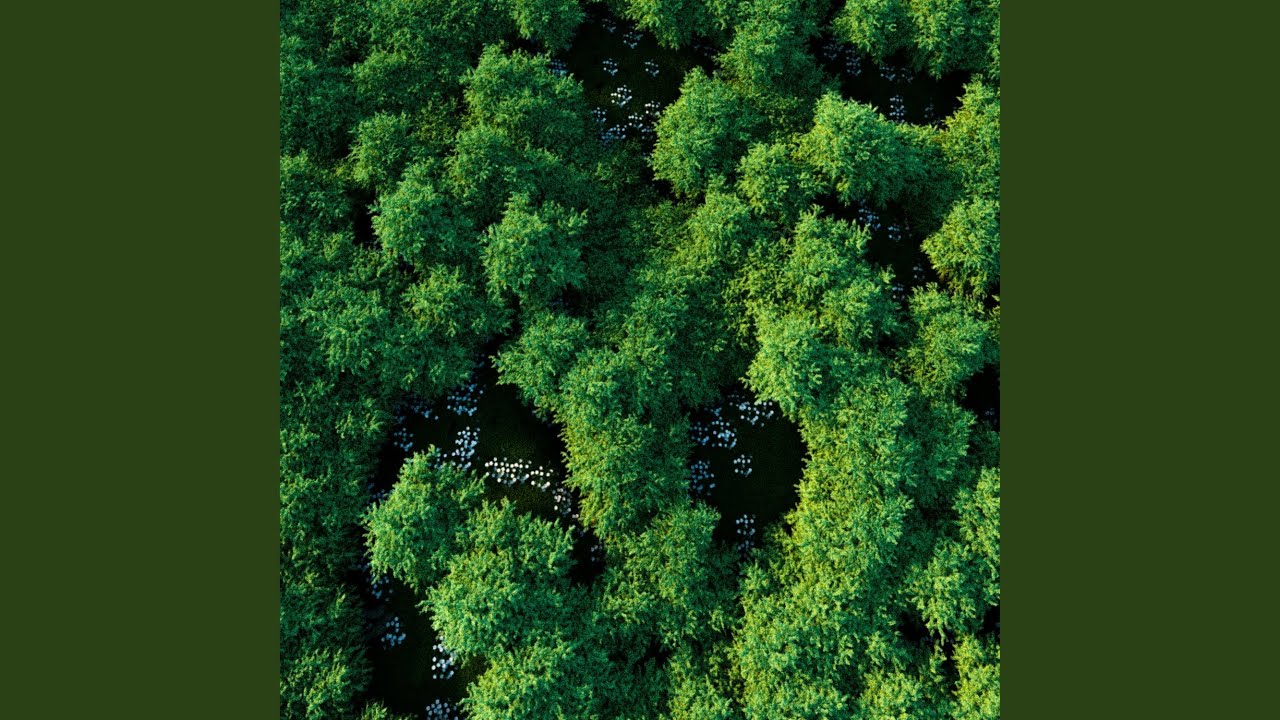 Debussy: Suite bergamasque, L. 75: 3. 'Clair de lune'