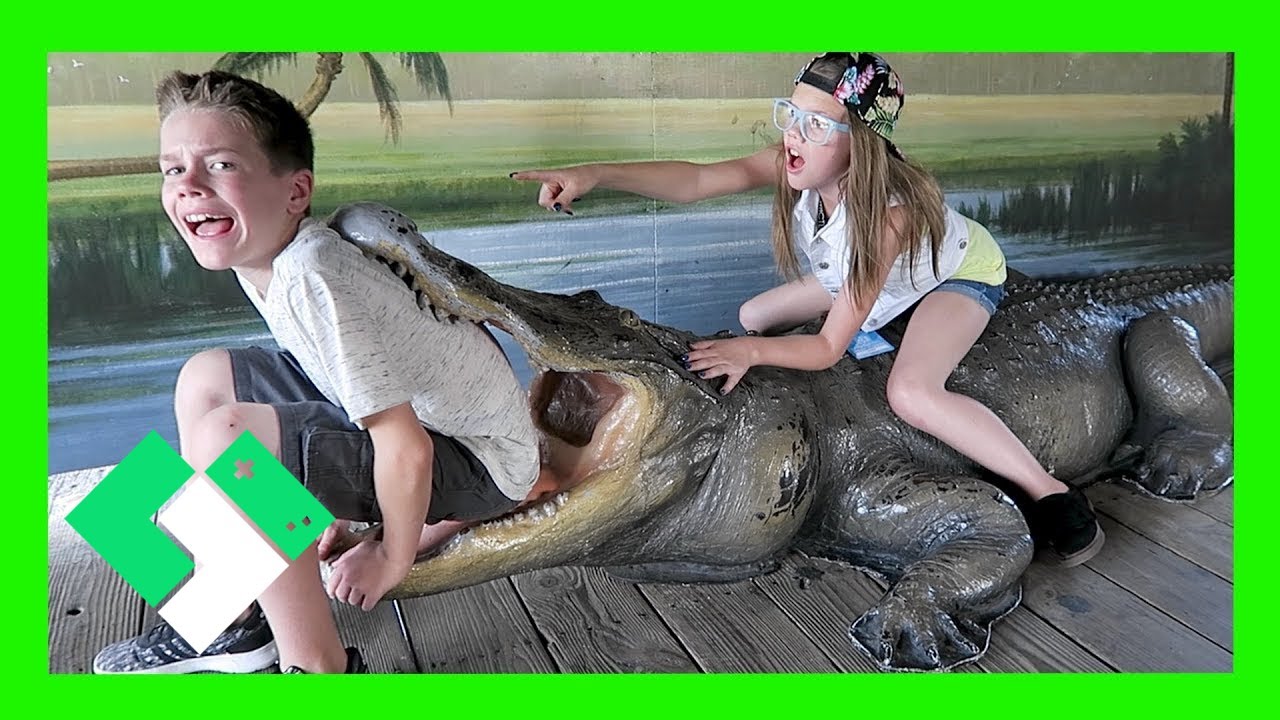 SURVIVING GATORLAND (Day 1484) | Clintus.tv