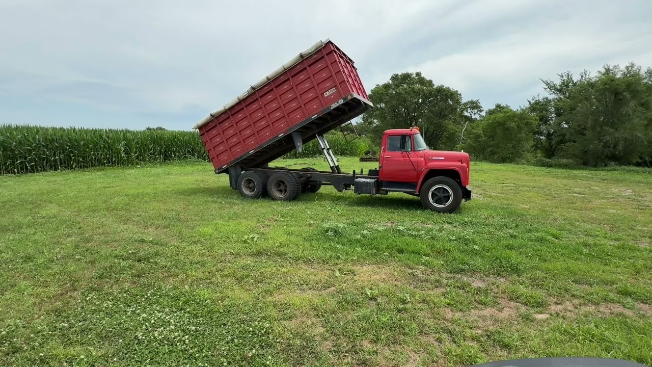1976 International Harvester Loadstar 1700 Grain Truck - Gasoline | For Sale | September 9th