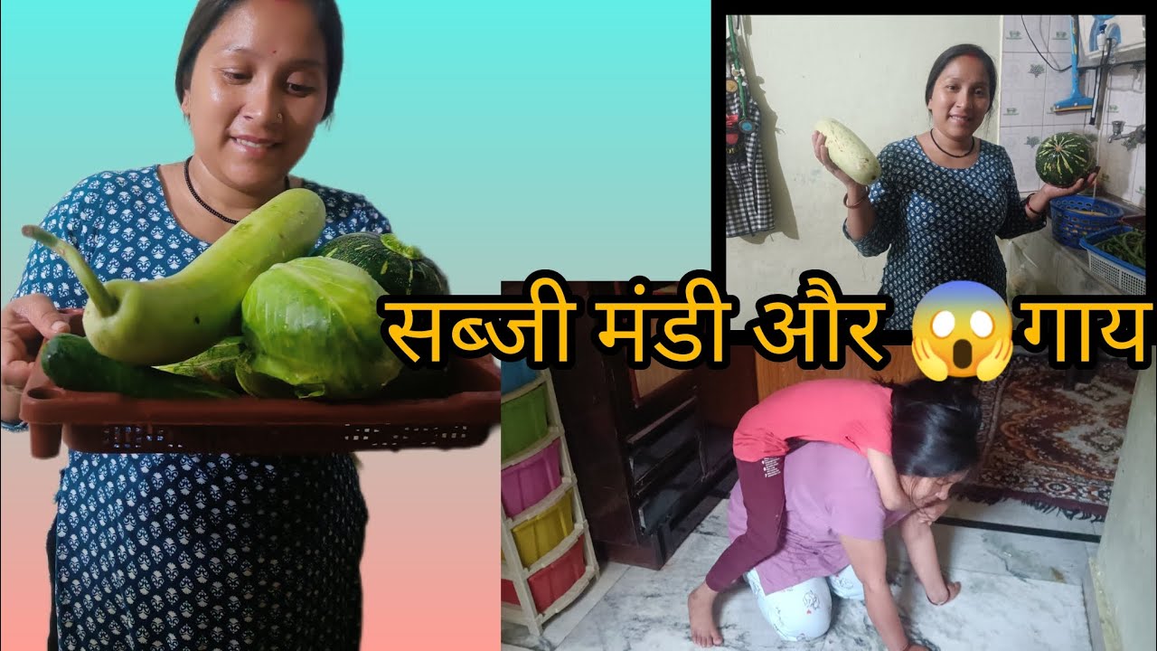 😱मंडी की 🐂🐄गाय ने तो आज मार ही दिया था#SaritaNegi#