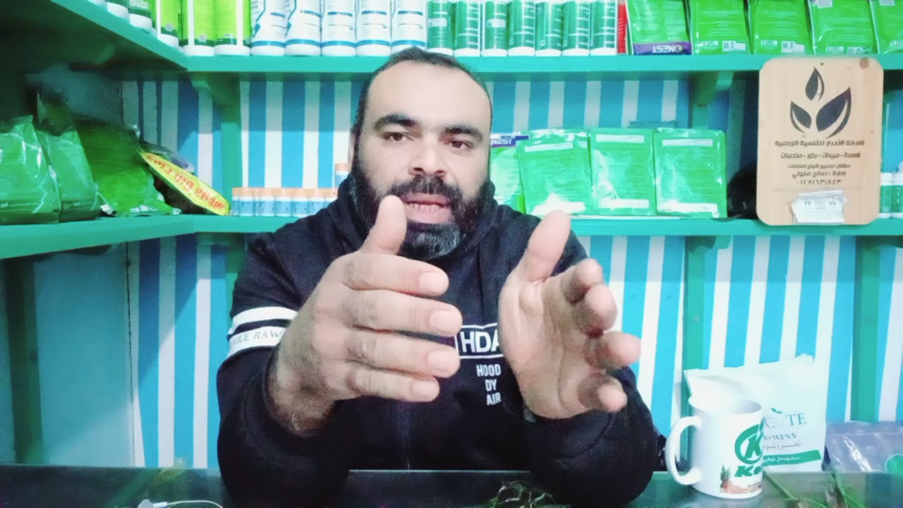 أهمية ووظائف عنصر الفوسفور للنبات. @اراضيكوللعلومالزراعية