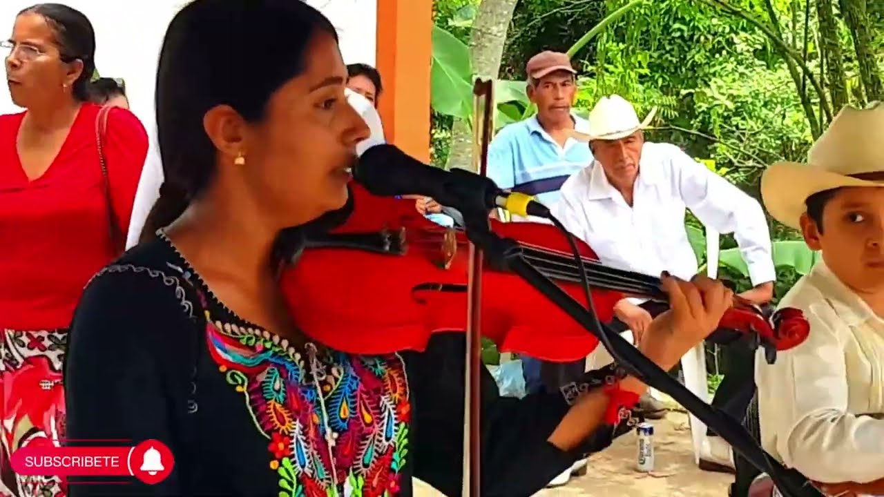 Recordemos a Mary Lupe talento en el Violín | Domingo de Huapango en Xilitla.